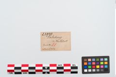 Etiketten zu Bronzegewandnadel (NHMW-PRAE-023909)